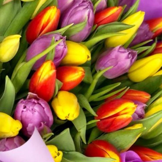Букет «55 тюльпанов» - фото 4